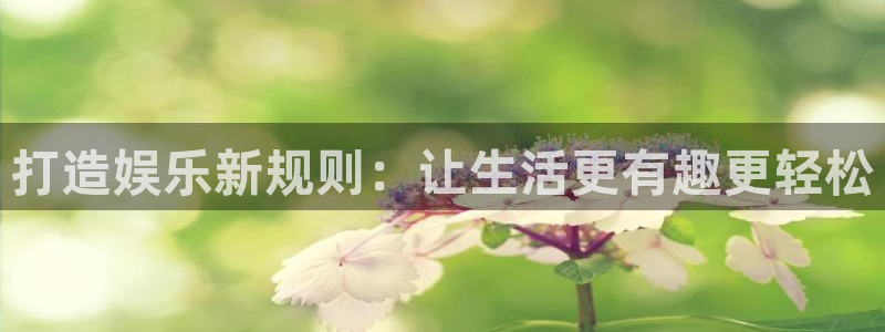 pg电子游戏：打造娱乐新规则：让生活更有趣更轻松