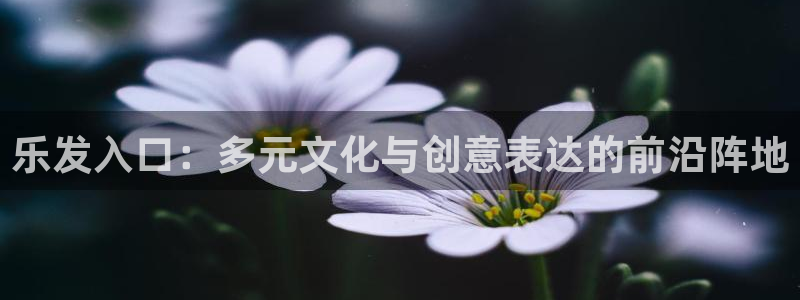 pg电子麻将胡了新手必看：乐发入口：多元文化与创意表达的前沿阵地