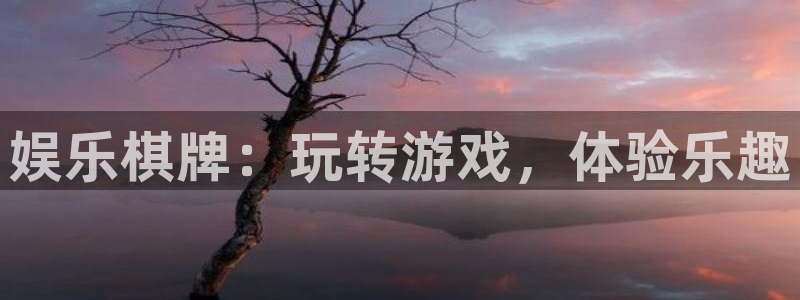 pg电子模拟器在线玩：娱乐棋牌：玩转游戏，体验乐趣