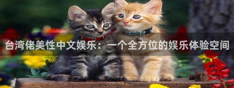 pg电子麻将胡了免费版下载：台湾佬美性中文娱乐：一个全方位的娱乐体验空间