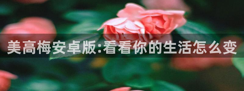 pg电子麻将胡了大奖视频：美高梅安卓版:看看你的生活怎么变