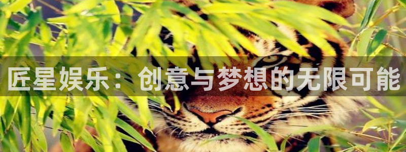 pg模拟器麻将胡了：匠星娱乐：创意与梦想的无限可能
