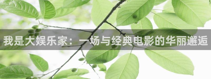 pg电子平台官网入口：我是大娱乐家：一场与经典电影的华丽邂逅