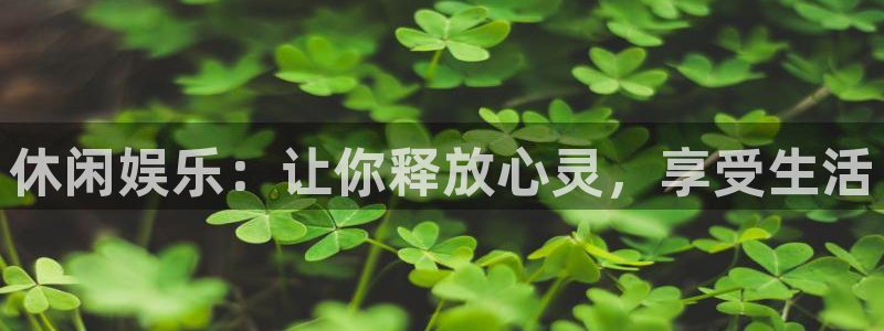 电子pg：休闲娱乐：让你释放心灵，享受生活