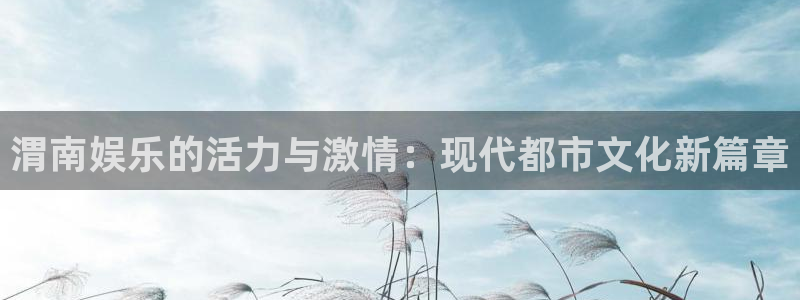 pg电子公司：渭南娱乐的活力与激情：现代都市文化新篇章