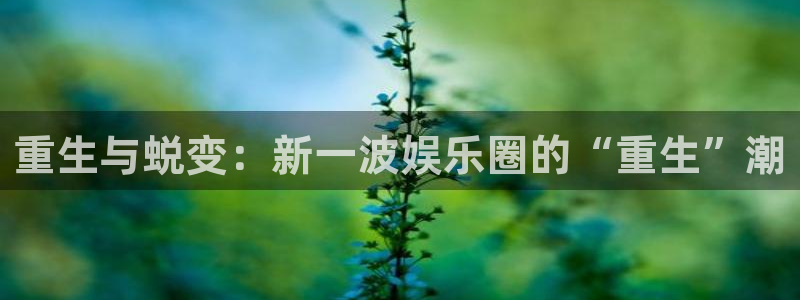 pg游戏官方网站入口：重生与蜕变：新一波娱乐圈的“重生”潮