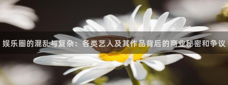 麻将胡了pg下载：娱乐圈的混乱与复杂：各类艺人及其作品背后的商业秘密和争议