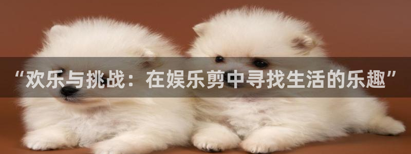 pg电子赏金猎人：“欢乐与挑战：在娱乐剪中寻找生活的乐趣”