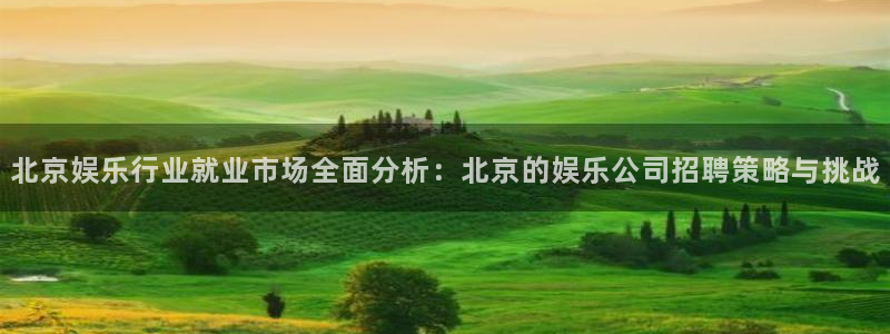 pg电子游戏模拟器：北京娱乐行业就业市场全面分析：北京的娱乐公司招聘策略与挑战