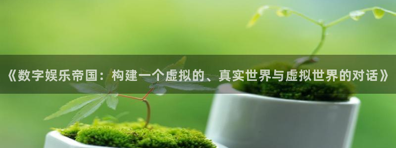 pg电子赏金女王模拟器试玩版：《数字娱乐帝国：构建一个虚拟的、真实世界与虚拟世界的对话》