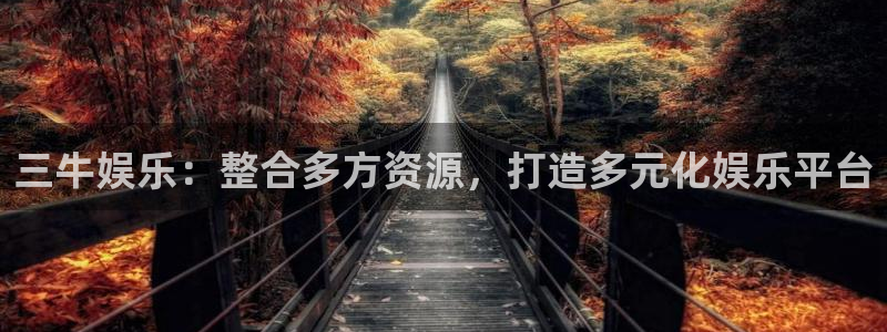pg电子试玩网：三牛娱乐：整合多方资源，打造多元化娱乐平台