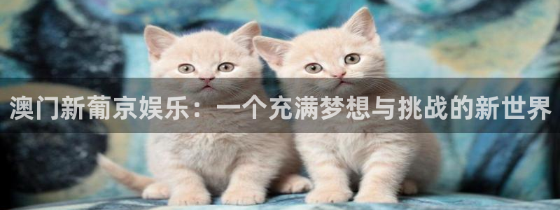 pg 游戏库：澳门新葡京娱乐：一个充满梦想与挑战的新世界