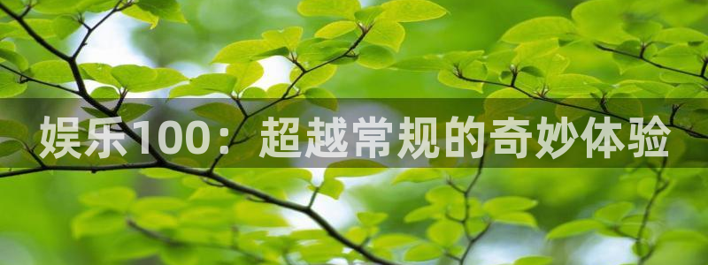 pg电子官网推荐：娱乐100：超越常规的奇妙体验