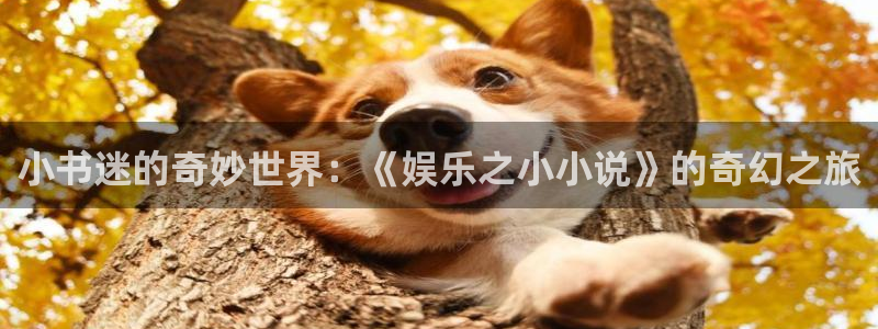 www.pg：小书迷的奇妙世界：《娱乐之小小说》的奇幻之旅