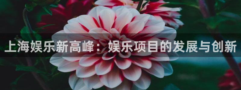 pg赏金女王玩法：上海娱乐新高峰：娱乐项目的发展与创新