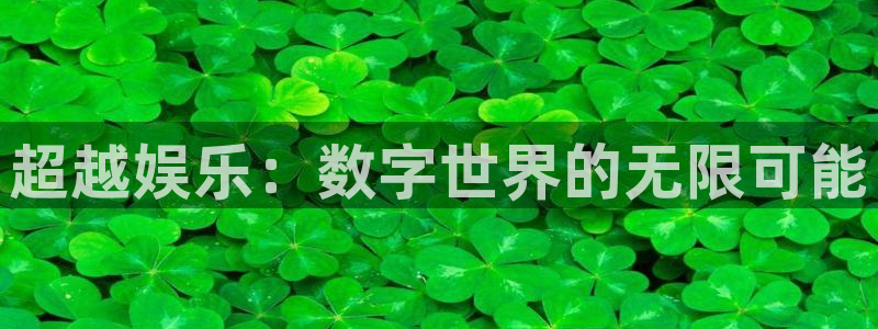 破解版pg赏金女王：超越娱乐：数字世界的无限可能