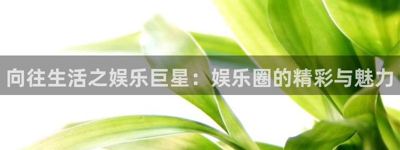 pg热门游戏麻将胡了：向往生活之娱乐巨星：娱乐圈的精彩与魅力