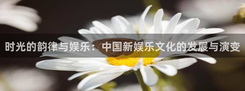 pg电子官网：时光的韵律与娱乐：中国新娱乐文化的发展与演变