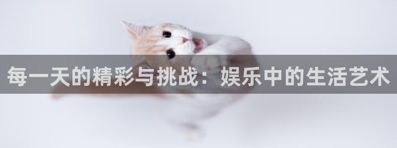 pg模拟器大全：每一天的精彩与挑战：娱乐中的生活艺术