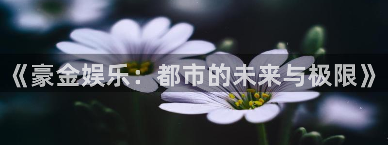 免费pg电子试玩：《豪金娱乐：都市的未来与极限》