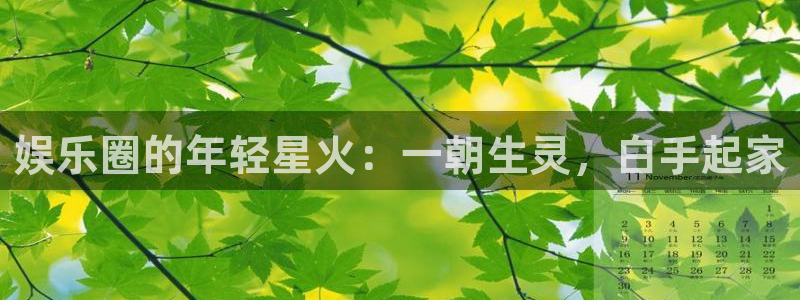 pg赏金女王官网版：娱乐圈的年轻星火：一朝生灵，白手起家