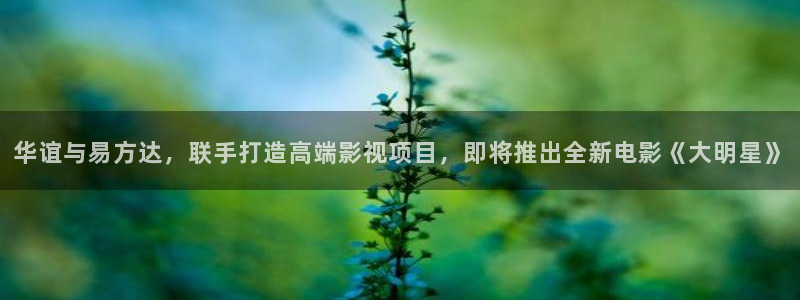 pg电子娱乐游戏平台游戏：华谊与易方达，联手打造高端影视项目，即将推出全新电影《大明星》