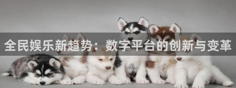 pg电子娱乐：全民娱乐新趋势：数字平台的创新与变革