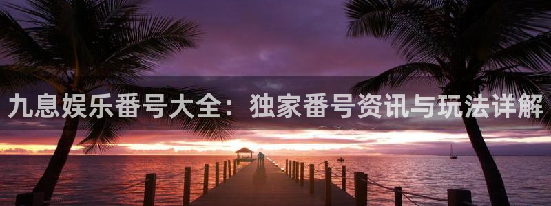 pg游戏库app：九息娱乐番号大全：独家番号资讯与玩法详解