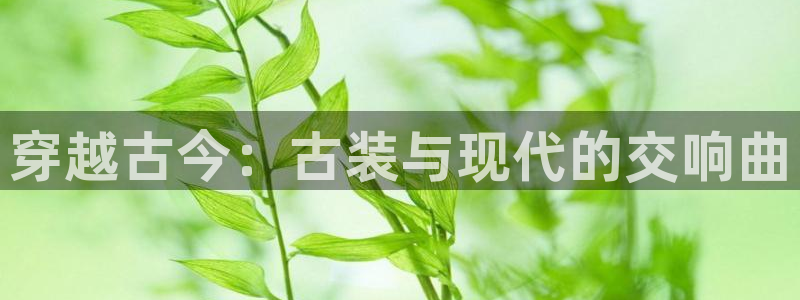 pg电子游戏：穿越古今：古装与现代的交响曲