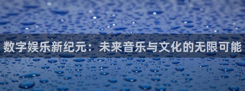 pg游戏软件平台：数字娱乐新纪元：未来音乐与文化的无限可能