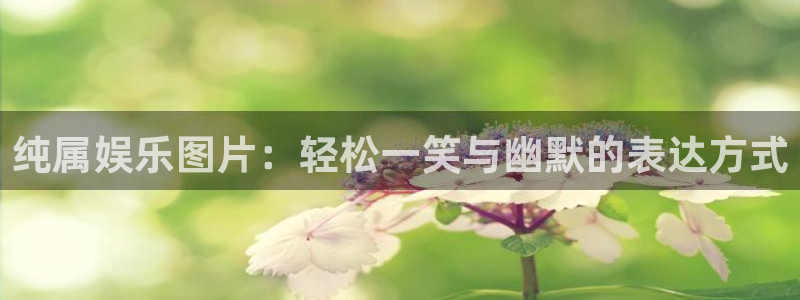 pg电子麻将胡了2技巧：纯属娱乐图片：轻松一笑与幽默的表达方式