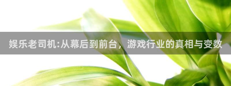 pg电子在线：娱乐老司机:从幕后到前台，游戏行业的真相与变数