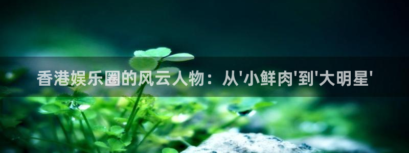 pg电子放水规律：香港娱乐圈的风云人物：从\'小鲜肉\'到\'大明星\'